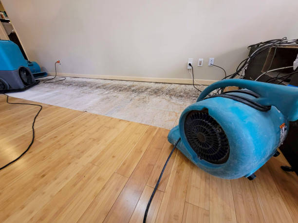Professional Sewage Cleanup technician working in Westminster, MD